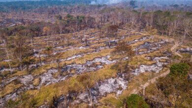 Eventos climáticos extremos no centro da Amazônia preocupam cientistas