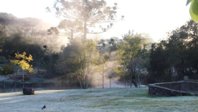Geada e temperaturas de 0 °C: veja a previsão para o Sul; Norte chega a 40 °C