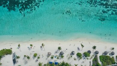 IA está ajudando a fazer praias “crescerem” e pode virar uma nova arma contra a erosão causada pela elevação do mar