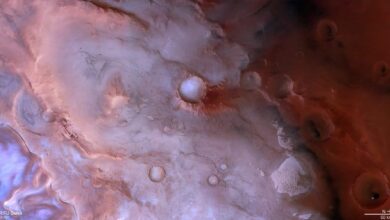 O lado roxo de Marte: gelo, poeira e luz criam cores incomuns em uma das regiões mais curiosas do planeta