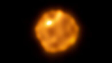 Observatório revela novos detalhes sobre superfície de Betelgeuse