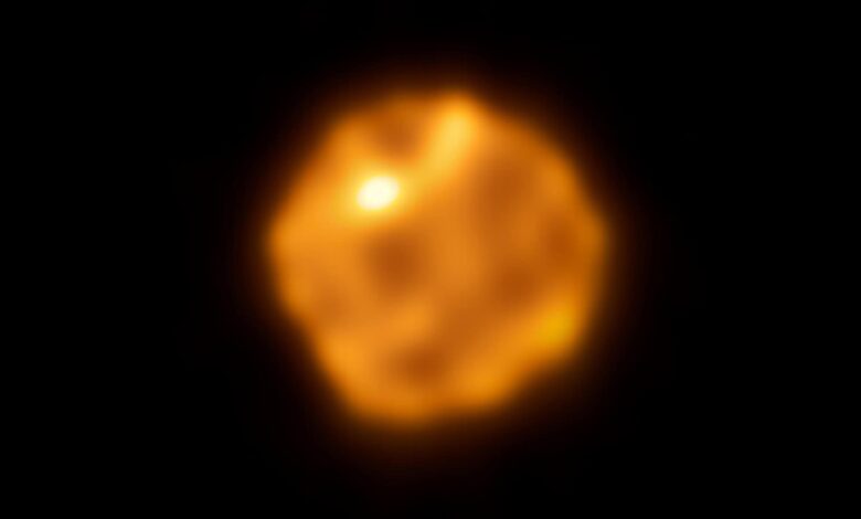 Observatório revela novos detalhes sobre superfície de Betelgeuse