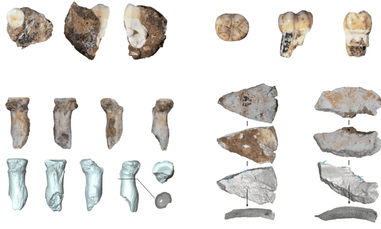 Osso encontrado em caverna na China pertence a misterioso grupo de hominídeos extinto