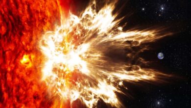 Sol pode lançar uma “superexplosão” a cada 100 anos, aponta análise de mancha solar histórica