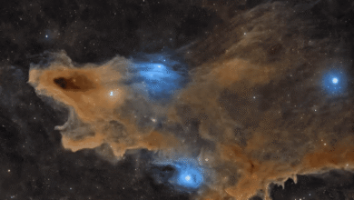 “Tubarão cósmico” vence concurso de melhor foto de astronomia de 2026; veja a imagem