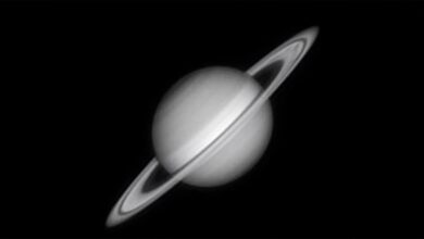 Astrofotógrafo brasileiro exibe Saturno ao vivo em detalhes durante momento mais favorável para a observação 