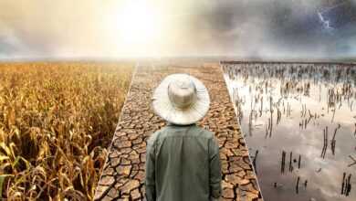 Brasil terá meses de extremos com El Niño mais forte, aponta Inmet