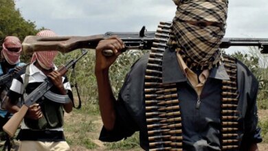Cabo Delgado: Missão da UE regista 154 ataques e fala em situação “preocupante”