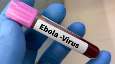 Ebola chega à Nigéria: autoridades identificam 44 contatos de paciente infectada