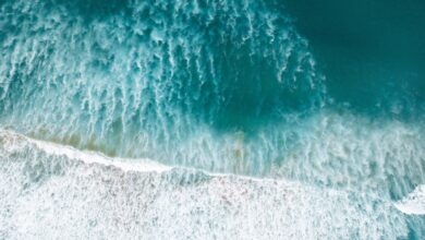El Niño muda a cor do oceano e ameaça vida marinha