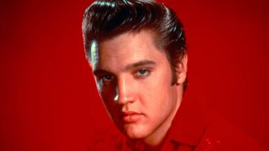 Elvis vs IA: entenda o processo milionário contra a Anthropic