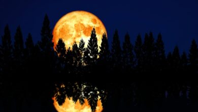 Entenda a origem da Lua do Caçador que brilhou no céu este mês