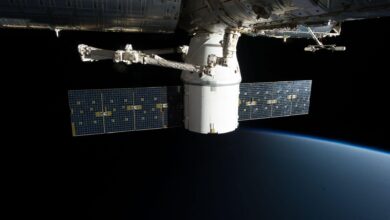 Estudo revela que a Estação Espacial Internacional é “limpa demais” e isso pode ser um problema para as viagens espaciais