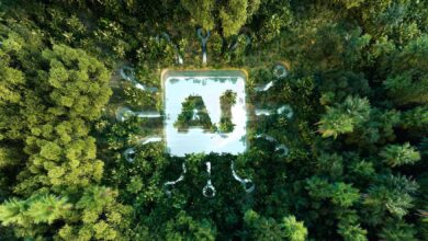 Inteligência artificial vira aliada e ajuda a combater crise climática