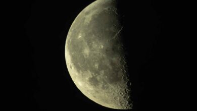 Lua hoje: confira a fase da Lua deste domingo 04/10/2026