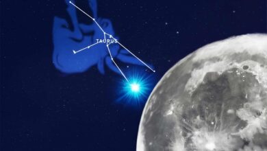 Lua provoca “eclipse” da segunda estrela mais brilhante de Touro – evento pode ser visto no Brasil