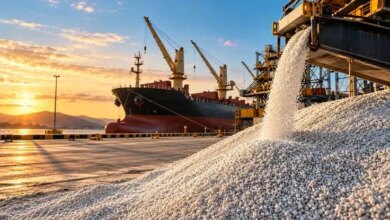 Moçambique e Angola na lista dos 31 melhores destinos de investimentos em África