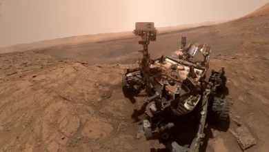 NASA mostra foto de amanhecer em Marte sem filtro e surpreende