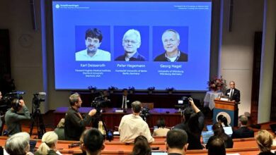 Nobel da Medicina repartido por três cientistas