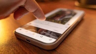 Redes sociais lançam funções para você controlar o seu próprio feed