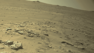 Imagem da superfície de Marte mostra terreno rochoso e marcas deixadas pelas rodas do rover Perseverance durante sua exploração.