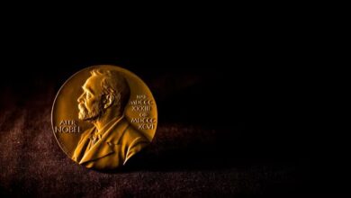 Resumo do OD: Prêmio Nobel; anomalia magnética; alerta à corrida das IAs e mais!