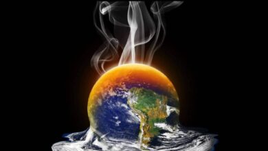 Resumo do OD: o que seu candidato pensa sobre mudanças climáticas? E mais! Nova IA do Google; EUA investigam OpenAI e Anthropic