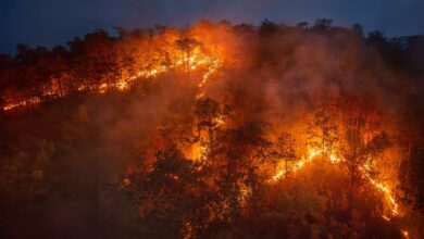 Super El Niño bate recorde e deve se intensificar até dezembro
