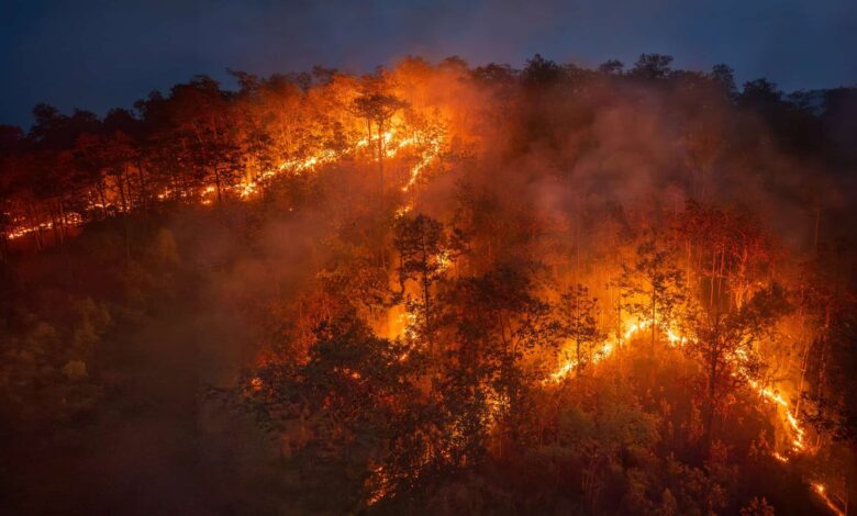 Super El Niño bate recorde e deve se intensificar até dezembro