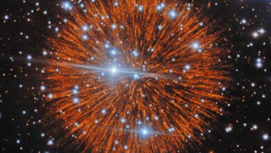 Supernova de 1181 deixou estrela viva e estruturas misteriosas no espaço