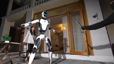 Robô